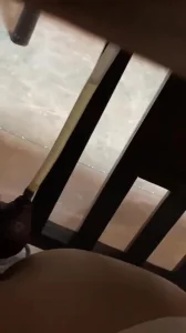 母狗凌茶香